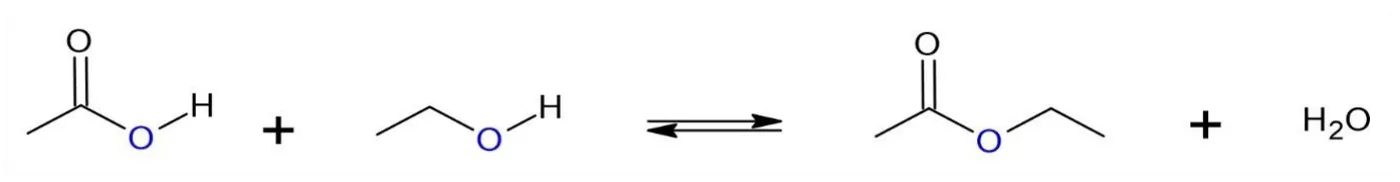 Équation en formules topologiques : acide éthanoïque plus éthanol, double flèche d'équilibre, éthanoate d'éthyle plus eau H2O.