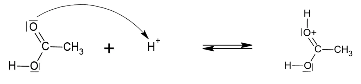 Première étape du mécanisme : la molécule d'acide éthanoïque, dont l'oxygène doublement lié au carbone porte deux doublets non liants, réagit avec l'ion H+. Une flèche courbe part d'un doublet non liant de cet oxygène et pointe vers H+. Double flèche, puis l'acide protoné : l'oxygène porte désormais l'hydrogène et une charge positive.