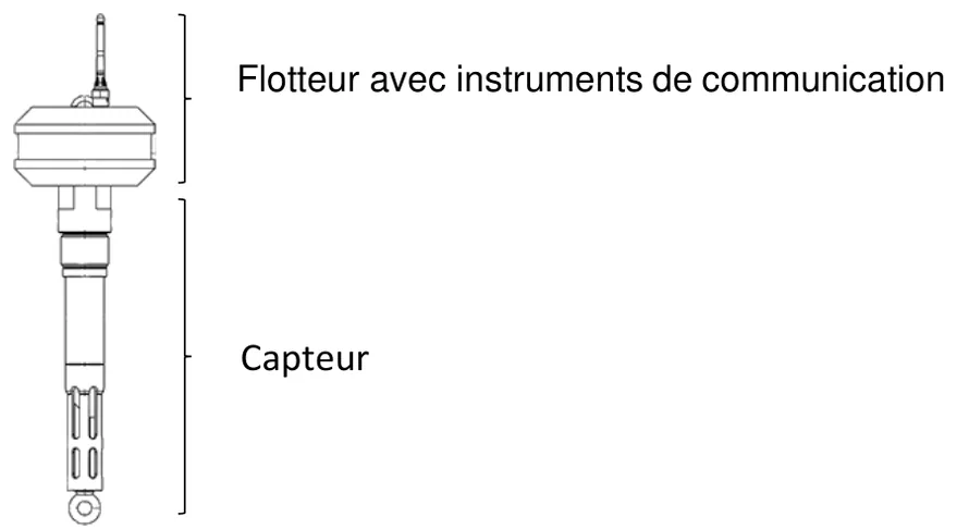 Dessin de la bouée, verticale : en haut le flotteur, large et court, surmonté d'une antenne, qui contient les instruments de communication ; en dessous le capteur, long et fin.