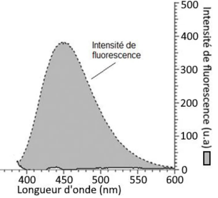 Spectre d'émission de fluorescence : intensité de fluorescence (de 0 à 500 u.a.) en fonction de la longueur d'onde (de 400 à 600 nm). Une seule bande, de 390 à 580 nm environ, avec un maximum d'environ 380 u.a. vers 450 nm, puis une décroissance lente jusqu'à 550 nm.