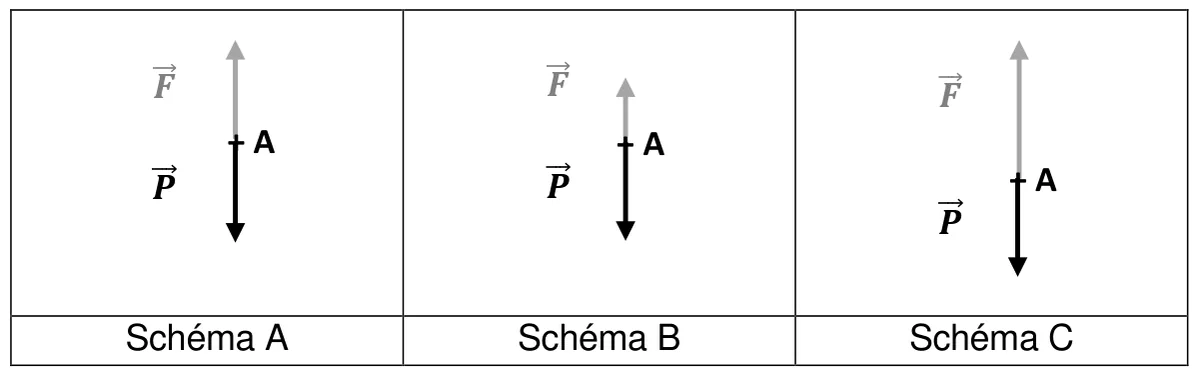 Trois schémas de forces appliquées au point A. Schéma A : la force F vers le haut et le poids P vers le bas ont la même longueur. Schéma B : la force F vers le haut est plus courte que le poids P. Schéma C : la force F vers le haut est plus longue que le poids P.