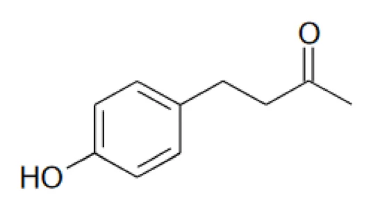 Formule topologique de la frambinone : un cycle benzénique porte en position para un groupe OH d'un côté et, de l'autre, une chaîne de deux CH2 suivie d'un carbone doublement lié à un atome d'oxygène et lié à un groupe méthyle.