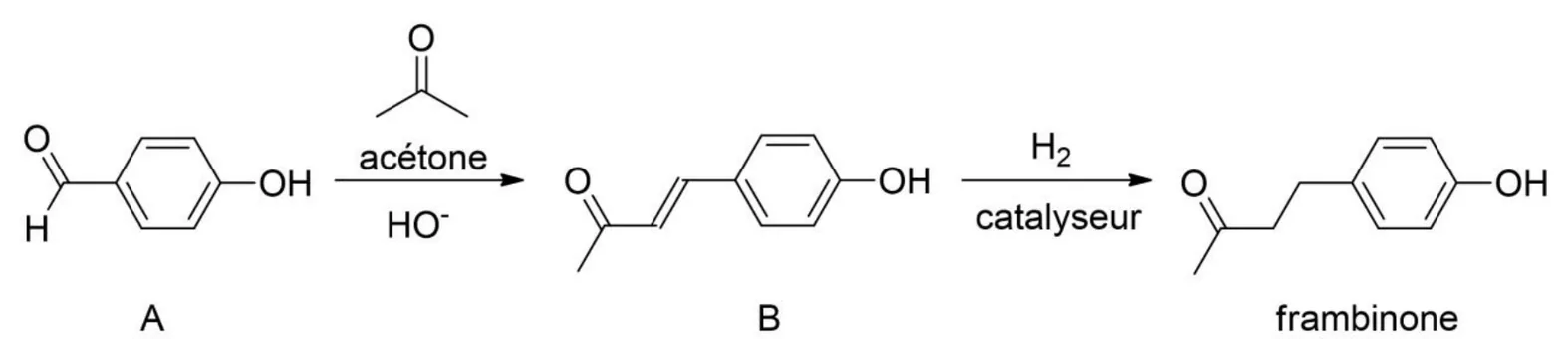Deux étapes. A, le 4-hydroxybenzaldéhyde (cycle benzénique portant un groupe CHO et, en para, un OH), réagit avec l'acétone en présence de HO− pour donner B : le carbone du CHO devient un CH=CH relié à un groupe C(=O)-CH3, avec une double liaison C=C. B réagit ensuite avec H2 en présence d'un catalyseur pour donner la frambinone, où la double liaison C=C est devenue une liaison simple CH2-CH2.