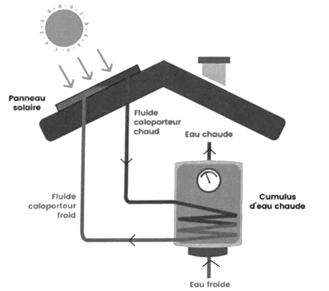 Schéma d'une maison : le Soleil éclaire un panneau solaire posé sur le toit. Le fluide caloporteur chaud descend du panneau jusqu'à un serpentin placé dans le bas du cumulus d'eau chaude, puis remonte froid vers le panneau. L'eau froide entre par le bas du cumulus et l'eau chaude sort par le haut.