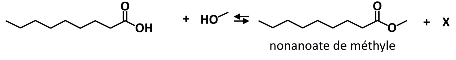 Équation de synthèse en formules topologiques : acide nonanoïque plus méthanol (HO lié à un CH3) donnent, de façon réversible (double flèche), le nonanoate de méthyle (la chaîne de l'acide dont le groupe OH est remplacé par O lié à un CH3) plus une espèce X.