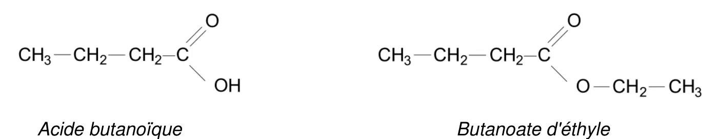 À gauche, l'acide butanoïque : CH3, CH2, CH2, puis un carbone portant une double liaison avec O et un groupe OH. À droite, le butanoate d'éthyle : CH3, CH2, CH2, puis un carbone portant une double liaison avec O et une liaison simple avec un O lui-même lié à CH2 puis CH3.