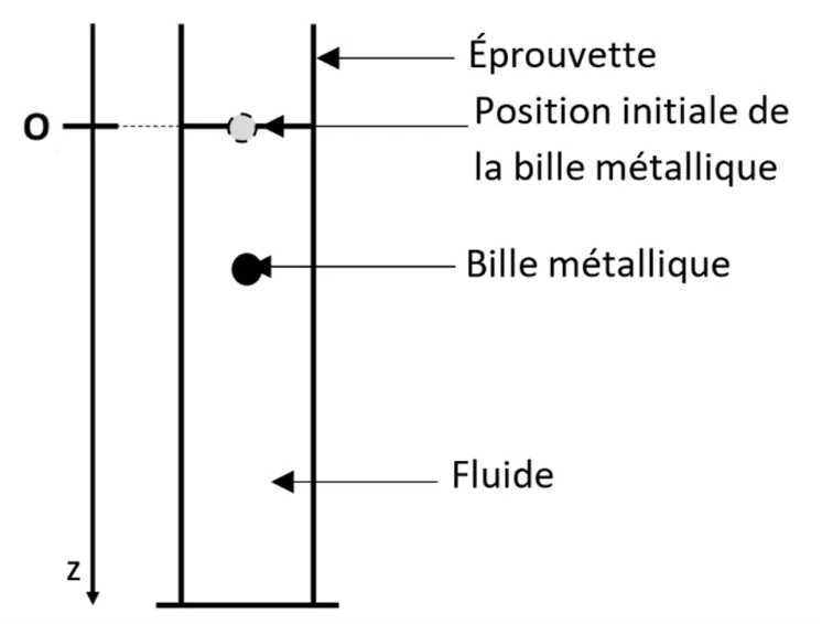 Schéma d'une éprouvette verticale remplie de fluide. À gauche, un axe vertical z orienté vers le bas, d'origine O au niveau de la position initiale de la bille métallique (cercle gris) ; plus bas, la bille métallique (disque noir) en cours de chute dans le fluide.