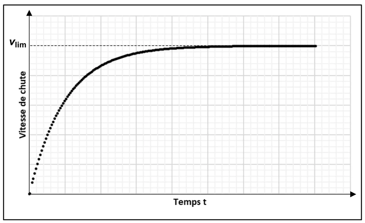 Vitesse de chute (axe vertical, sans graduation chiffrée) en fonction du temps t : la courbe part de zéro, croît rapidement puis s'infléchit et tend vers un palier horizontal, la vitesse limite vlim marquée par une droite en pointillés.