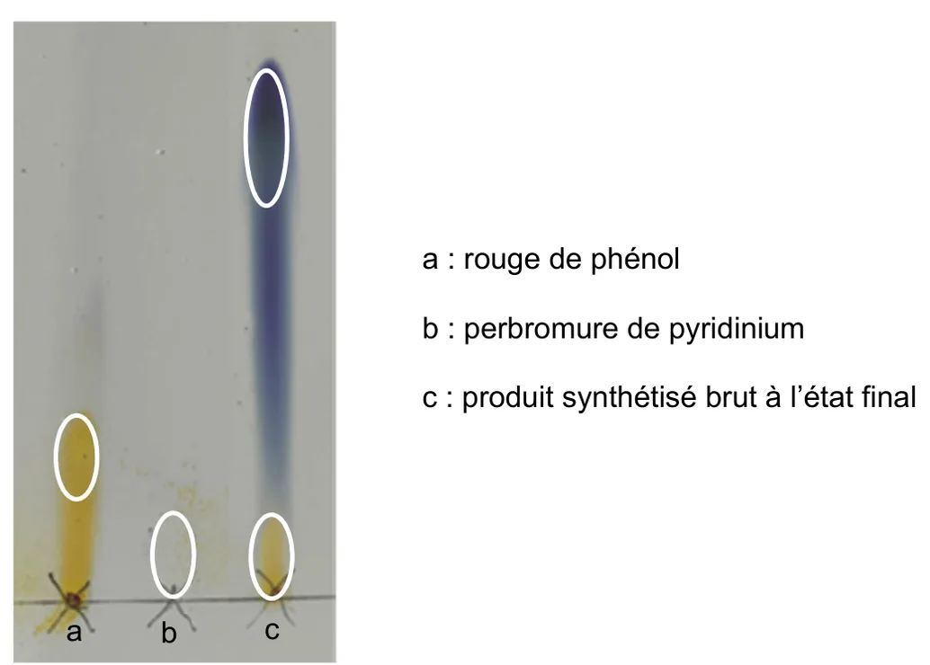 Plaque de chromatographie avec trois dépôts sur la ligne de base : a, rouge de phénol ; b, perbromure de pyridinium ; c, produit synthétisé brut à l'état final. Le dépôt a donne une tache jaune à environ un quart de la hauteur de migration. Le dépôt b donne une tache restée au niveau de la ligne de dépôt. Le dépôt c donne deux taches : une tache bleu-violet très haut sur la plaque, absente des colonnes a et b, et une tache jaune au niveau de la ligne de dépôt, à la même hauteur que celle de b. Aucune tache de c n'est à la hauteur de celle de a.