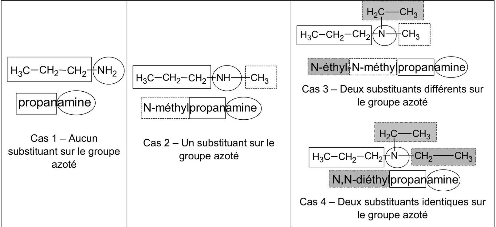 Quatre cas de nomenclature des amines, chaîne principale encadrée et groupe amine entouré. Cas 1, aucun substituant sur le groupe azoté : CH3-CH2-CH2-NH2, propanamine. Cas 2, un substituant sur le groupe azoté : CH3-CH2-CH2-NH-CH3, N-méthylpropanamine. Cas 3, deux substituants différents sur le groupe azoté : l'azote porte la chaîne propyle, un éthyle et un méthyle, N-éthyl-N-méthylpropanamine. Cas 4, deux substituants identiques sur le groupe azoté : l'azote porte la chaîne propyle et deux éthyles, N,N-diéthylpropanamine.