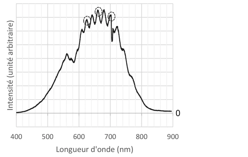 Spectre de la lumière captée par la fibre : même enveloppe en cloche, mais hérissée d'une série de pics étroits et réguliers entre 580 et 730 nm ; trois maxima sont entourés en pointillés, vers 625, 660 et 700 nm.