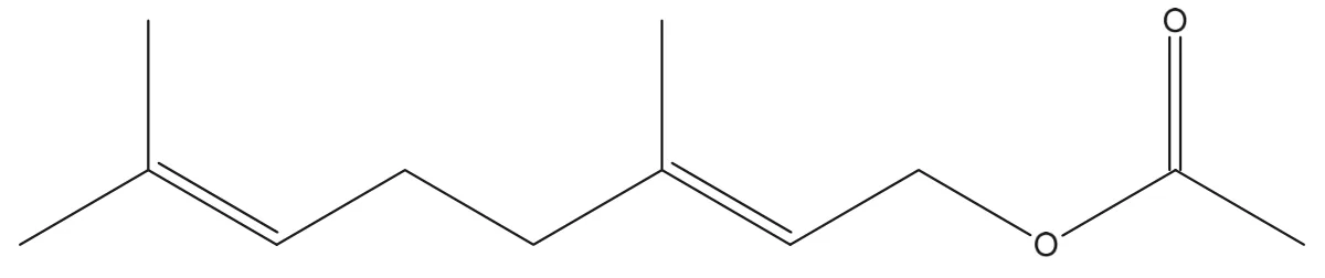 Formule topologique de l'éthanoate de géranyle : la même chaîne à deux doubles liaisons C=C et deux méthyles, mais le carbone terminal est lié à un oxygène, lui-même lié à un carbone qui porte un oxygène doublement lié et un groupe méthyle : un groupe ester.