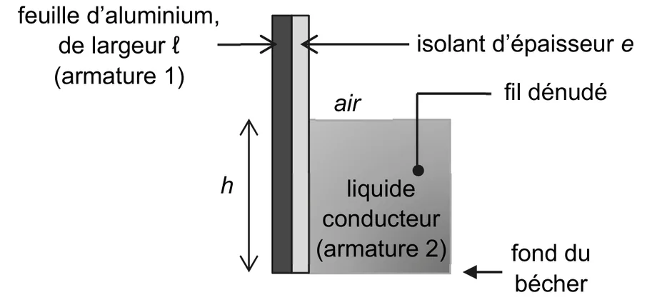 Coupe du dispositif : la feuille d'aluminium de largeur ℓ (armature 1), recouverte de l'isolant d'épaisseur e, est verticale et touche le fond du bécher ; le liquide conducteur (armature 2) la baigne sur une hauteur h, avec de l'air au-dessus ; un fil dénudé plonge dans le liquide.