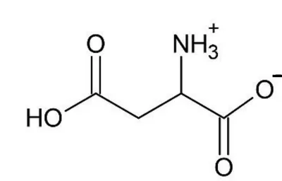 Formule topologique de H2Asp : à gauche un groupe carboxyle COOH (C=O et O-H), relié par un CH2 à un carbone qui porte le groupe NH3+ et, à droite, un groupe carboxylate C(=O)-O- chargé négativement.