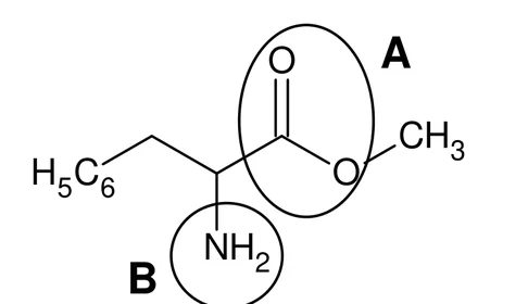 Formule topologique de la phénylalanine méthylée : H5C6-CH2-CH relié à un groupe NH2 entouré et repéré B, et à un groupe C(=O)-O-CH3 entouré et repéré A.