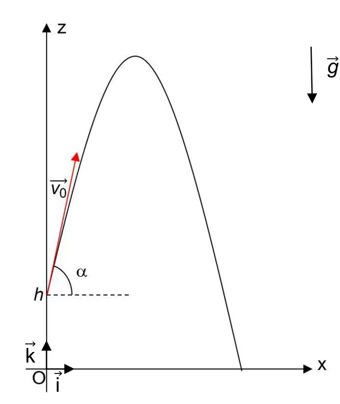 Repère (O, i, k), axe x horizontal et axe z vertical. Le ballon part du point de l'axe z d'altitude h avec une vitesse v0 inclinée d'un angle alpha au-dessus de l'horizontale ; la trajectoire est une parabole très haute et étroite qui retombe sur l'axe x. Le vecteur g est vertical vers le bas.