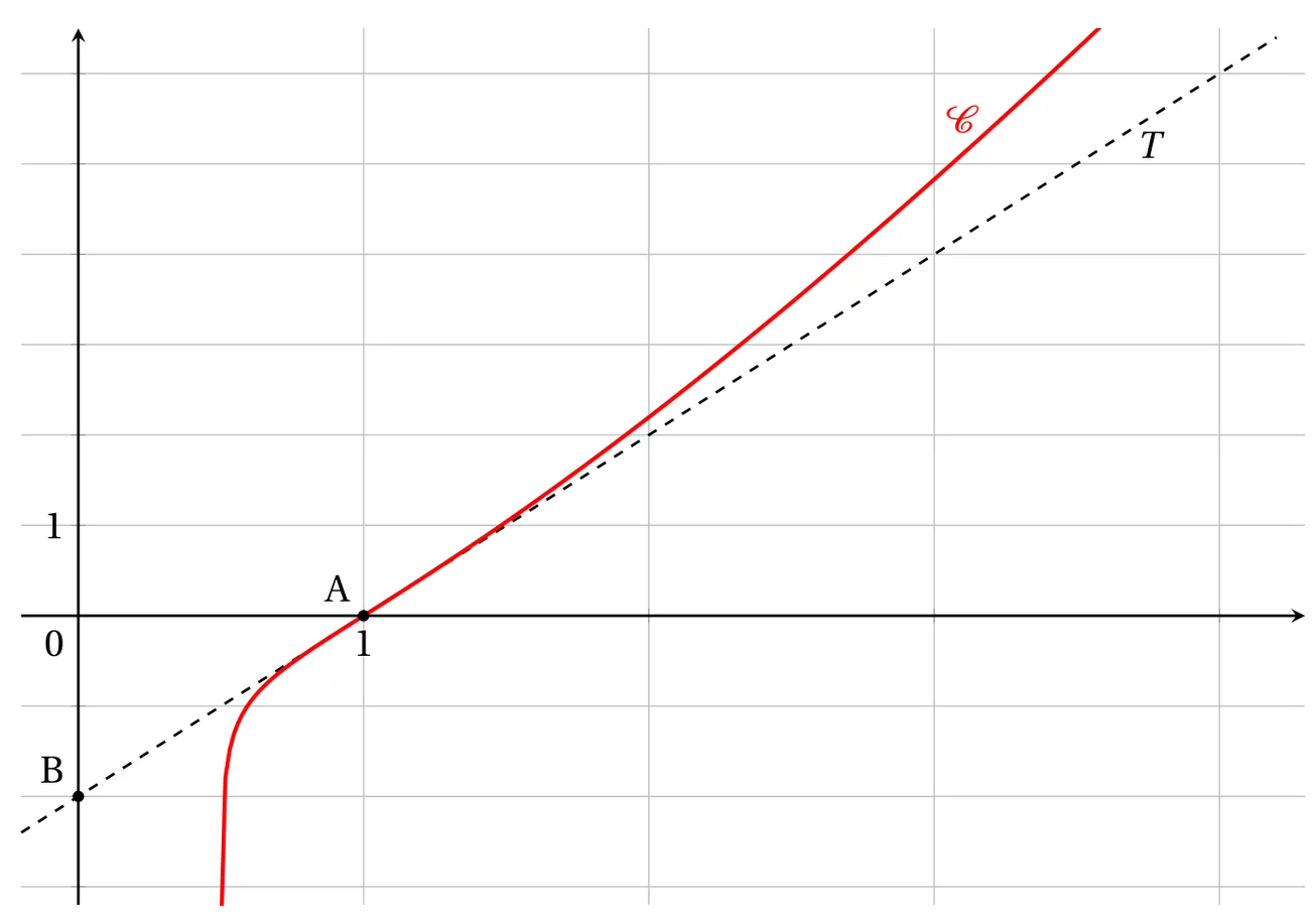 Repère orthogonal quadrillé, une unité en abscisse plus large qu'en ordonnée, abscisses de 0 à 4 environ et ordonnées de -3 à 6. La courbe C, en rouge, part du bas du repère presque verticalement près de x = 0,5, passe par le point A(1 ; 0) sur l'axe des abscisses, puis monte en s'incurvant vers le haut et sort du cadre vers x = 3,7. La tangente T, en pointillés, est la droite qui passe par B(0 ; -2) et par A(1 ; 0). À gauche de A, la courbe est sous T ; à droite de A, elle est au-dessus.