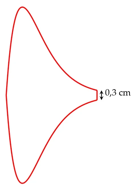 Contour du logo, en rouge : une forme symétrique par rapport à un axe horizontal, large et arrondie à gauche, qui s'effile vers la droite et se ferme à droite par un petit segment vertical, coté 0,3 cm.