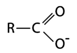 Ion carboxylate : un groupe R lié à un atome de carbone, lui-même doublement lié à un oxygène et simplement lié à un oxygène portant la charge négative.