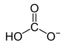 Formule semi-développée de l'ion hydrogénocarbonate : un atome de carbone central doublement lié à un oxygène, simplement lié à un groupe HO et simplement lié à un oxygène portant la charge négative.