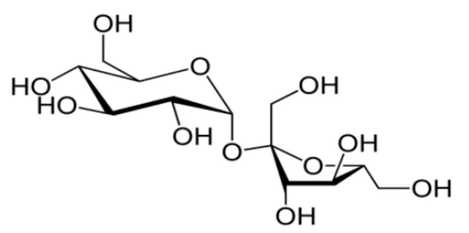 Représentation de Haworth du saccharose : un cycle à six atomes (glucose) relié par un pont oxygène à un cycle à cinq atomes (fructose). On compte huit groupes OH : quatre sur la partie glucose (dont celui d'un groupe CH2OH) et quatre sur la partie fructose (dont ceux de deux groupes CH2OH).