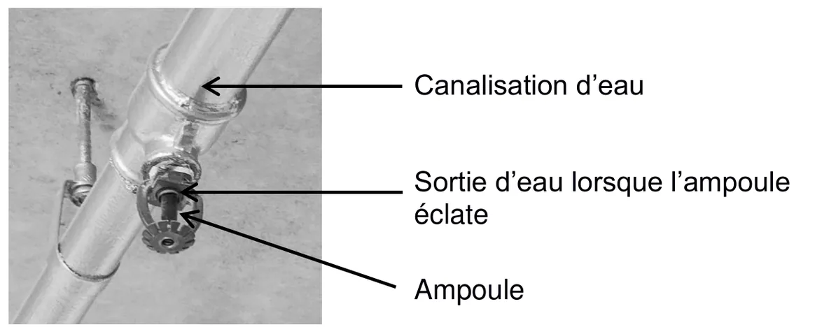 Photographie d'un sprinkler fixé sous une canalisation d'eau ; des flèches désignent la canalisation d'eau, la sortie d'eau lorsque l'ampoule éclate, et l'ampoule, petit tube de verre qui obstrue la sortie.