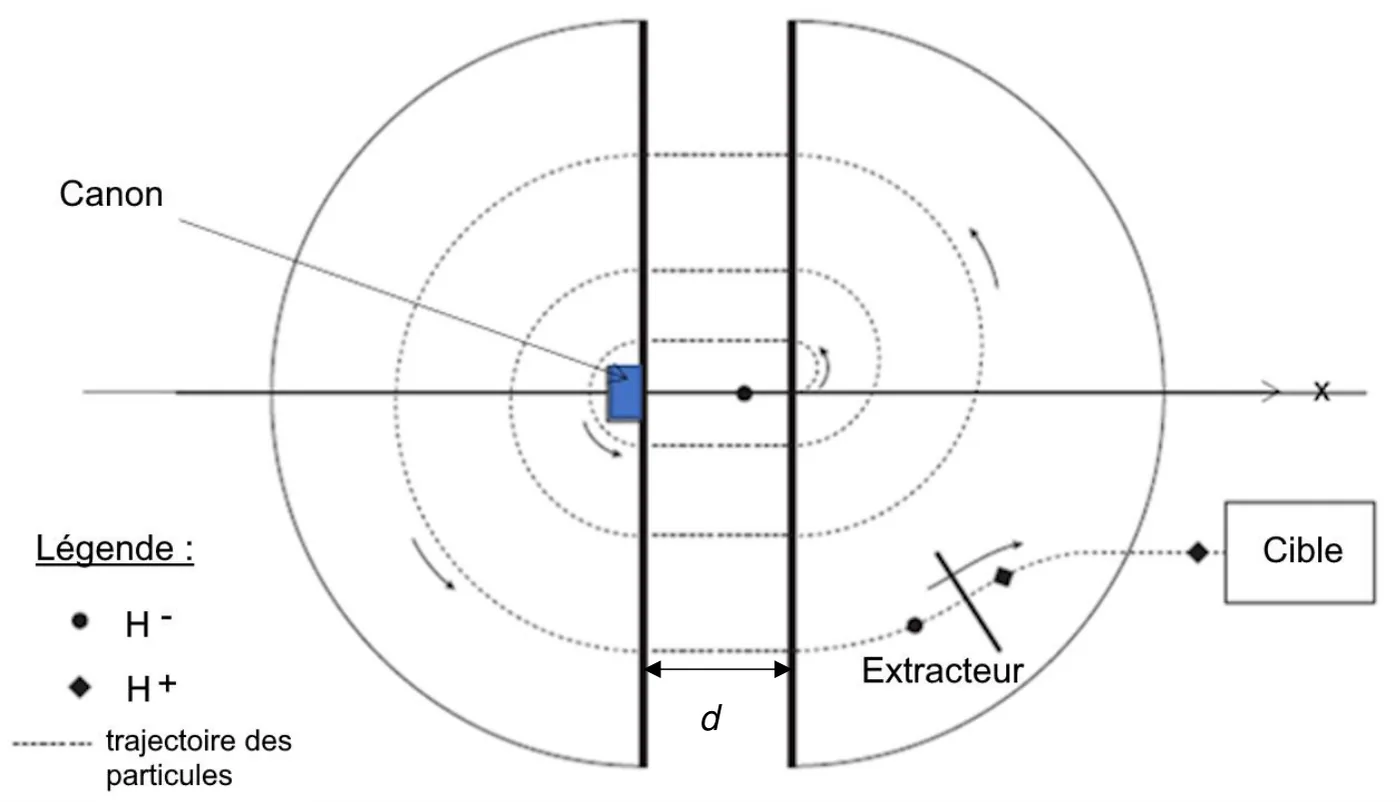 Vue de dessus du cyclotron : deux demi-disques séparés par une bande étroite de largeur d entre deux plaques verticales, traversée par l'axe x. Le canon, au centre contre la plaque de gauche, émet les ions H moins ; leur trajectoire en pointillés est une spirale faite de demi-cercles de plus en plus grands dans chaque cavité, reliés par des traversées de la zone entre les plaques, deux traversées par tour. En bas à droite, l'extracteur transforme les ions H moins en protons H plus, dirigés vers la cible.
