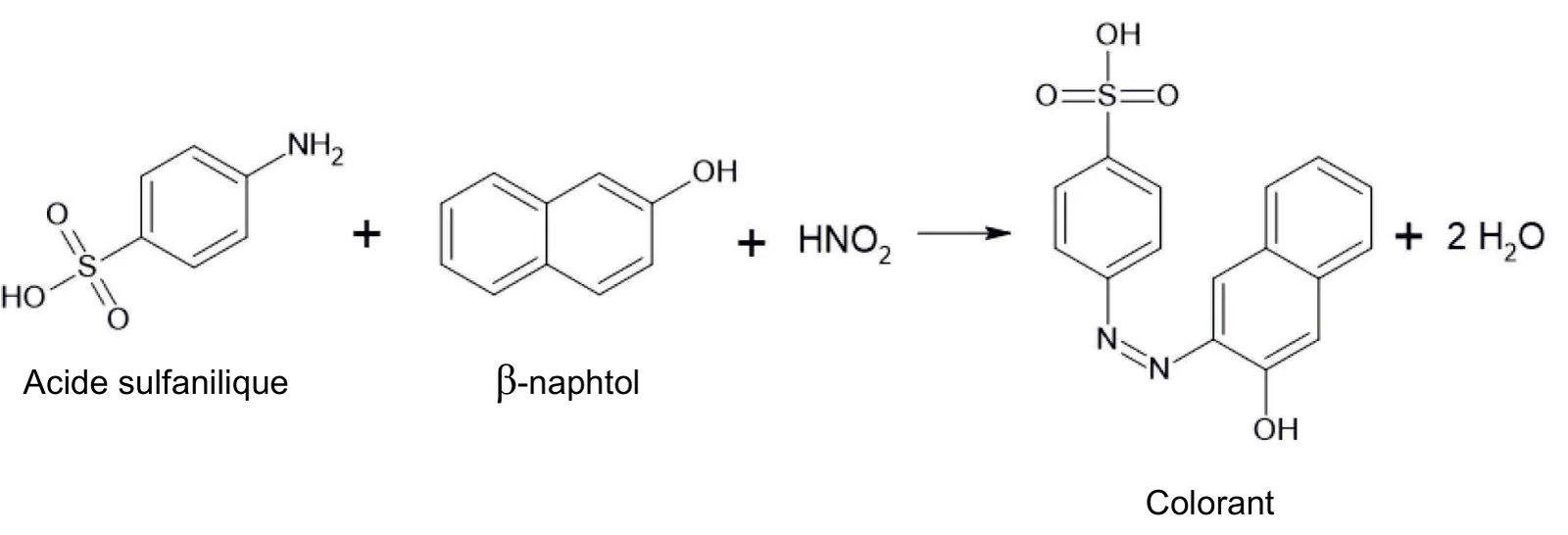 Équation de synthèse en formules topologiques : acide sulfanilique (cycle benzénique portant NH2 et SO3H en position para) plus bêta-naphtol (naphtalène portant OH) plus HNO2 donnent le colorant, où les deux parties sont reliées par un pont azo N=N, plus 2 H2O.