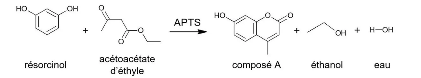 Même équation de réaction : résorcinol plus acétoacétate d'éthyle donnent le composé A plus éthanol plus eau, avec cette fois APTS écrit au-dessus de la flèche.