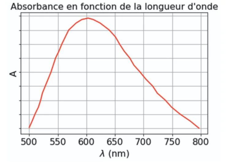 Spectre d'absorption : absorbance A, axe sans valeurs chiffrées, en fonction de la longueur d'onde λ de 500 à 800 nm. La courbe monte depuis 500 nm jusqu'à un maximum unique situé vers 600 nm, puis redescend régulièrement jusqu'à 800 nm.